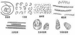 数控加工中心的切屑能反应哪些加工情况？